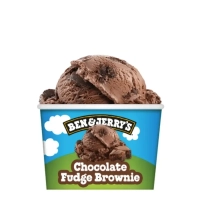 Chocoladeroomijs met stukken chocolate fudge brownie